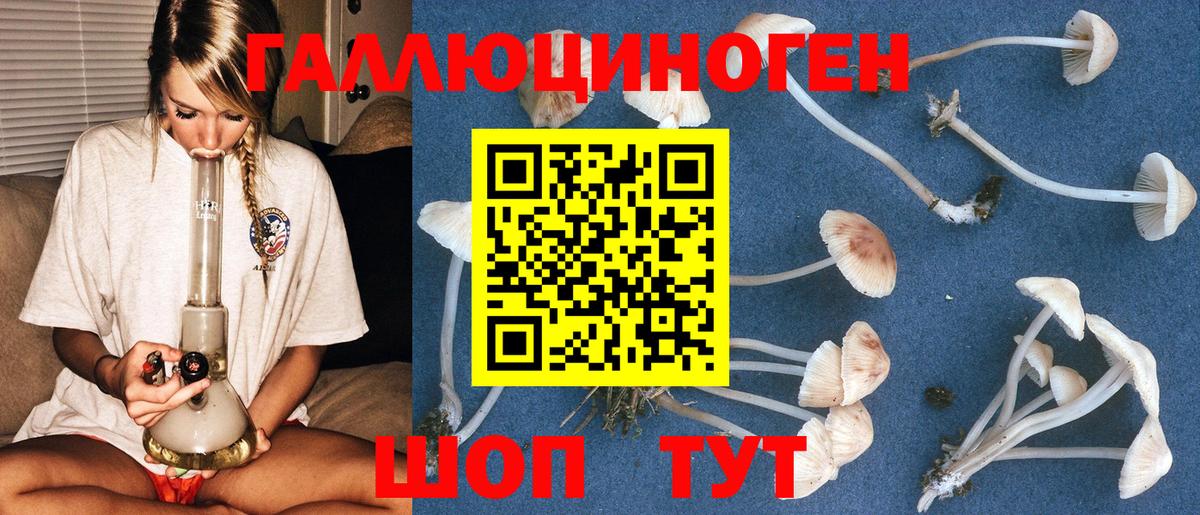Псилоцибиновые грибы мухоморы  Галлюциногенные грибы ЛСД  Белореченск  Вход с VPN 